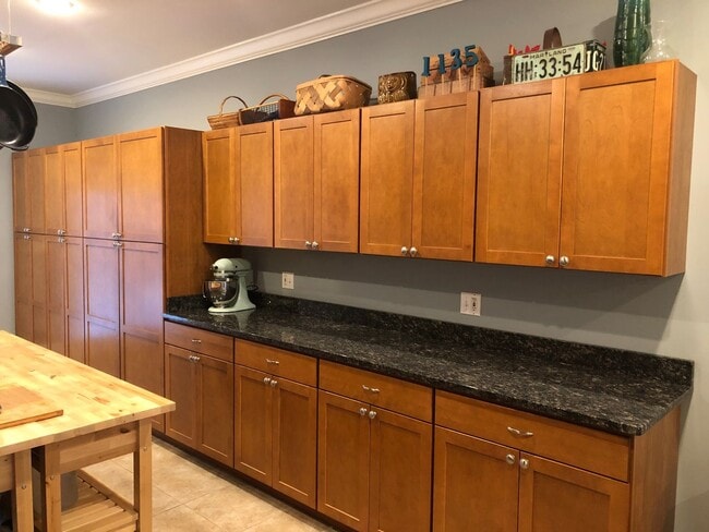 Building Photo - Modern Large and spacious house available in Locus Point