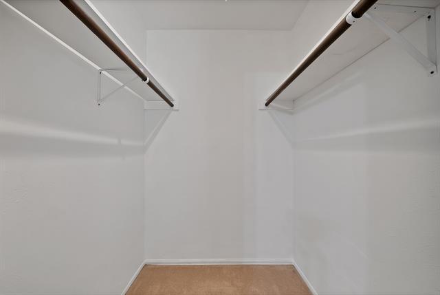 Building Photo - 1611 Celeste Ct