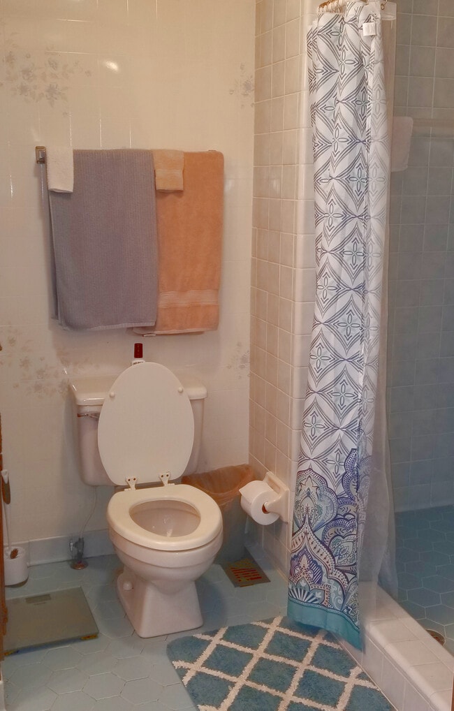 Master Bathroom - 524 Webbs Mill Rd