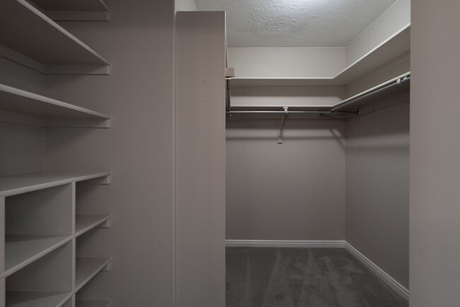 Building Photo - Spacious 6 Bedroom Home with a Balcony!