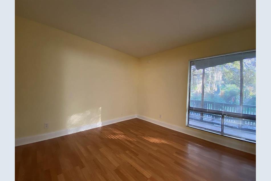 Building Photo - 2432 Lemon Tree Ln