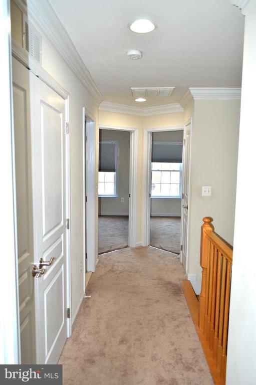 Building Photo - 12213 Silver Cypress Terrace