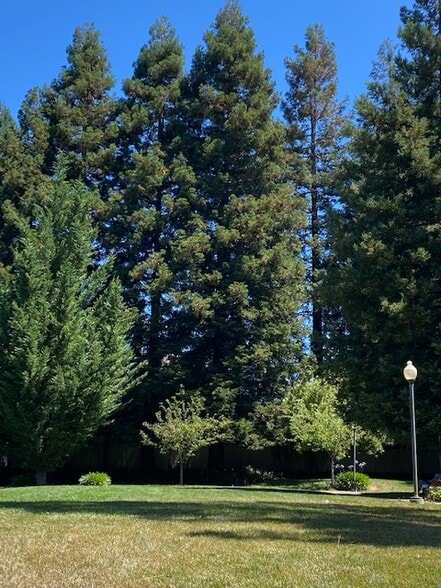 Building Photo - 1404 Woodlake Dr