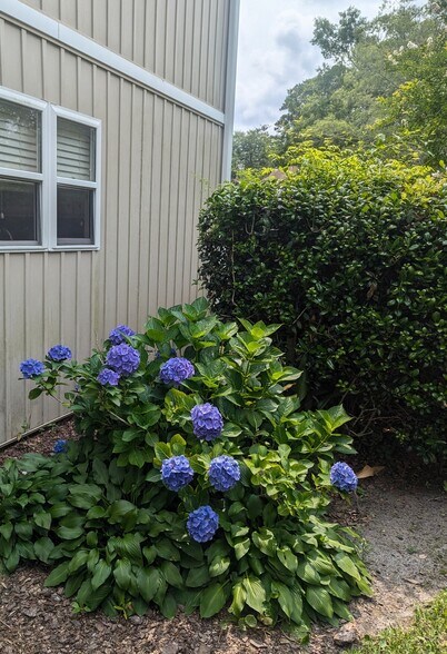 Building Photo - 4178 Spirea Dr