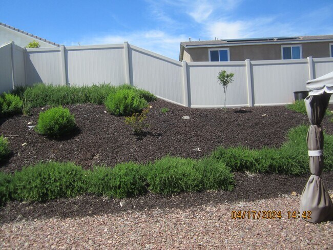 Building Photo - COOL POOL, PARKS AND NEAR NEW 3 BR PLUS DEN IN MEINFEE