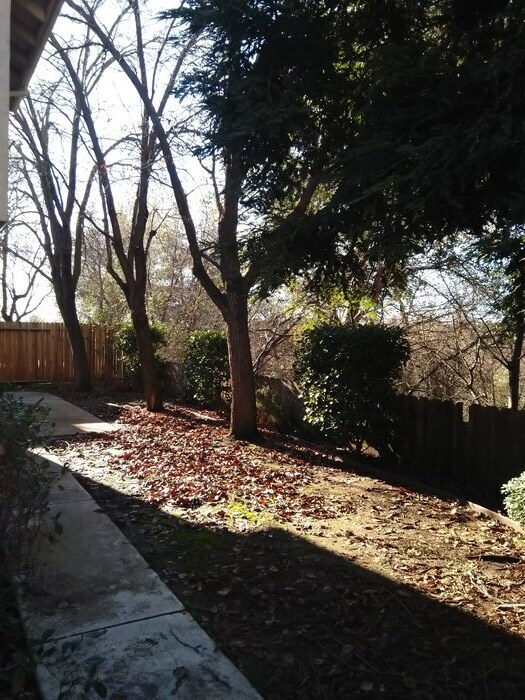 Building Photo - 6220 Cameo Dr