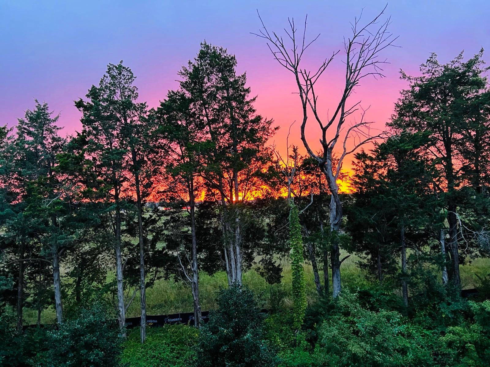 Sunset view from the deck - 23659 Turtle Point Ter