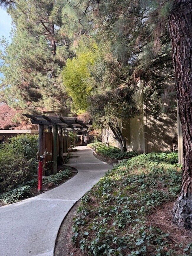 Building Photo - Spacious 1 Bedroom 1 Bath Upstairs Condo with a View