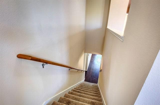 Building Photo - 4544 Martingale View Ln