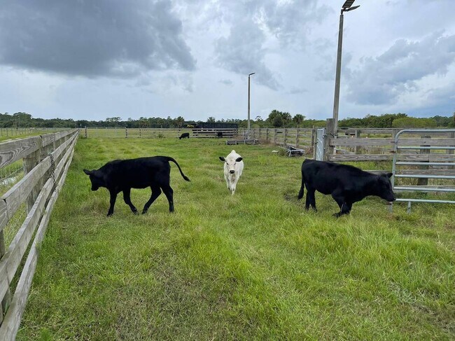 Building Photo - 4502 Wild Turkey Trail