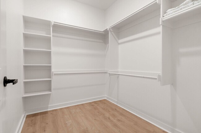 Building Photo - 8912 Cantera Dr
