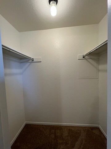 Building Photo - 347 Mickelson Ct