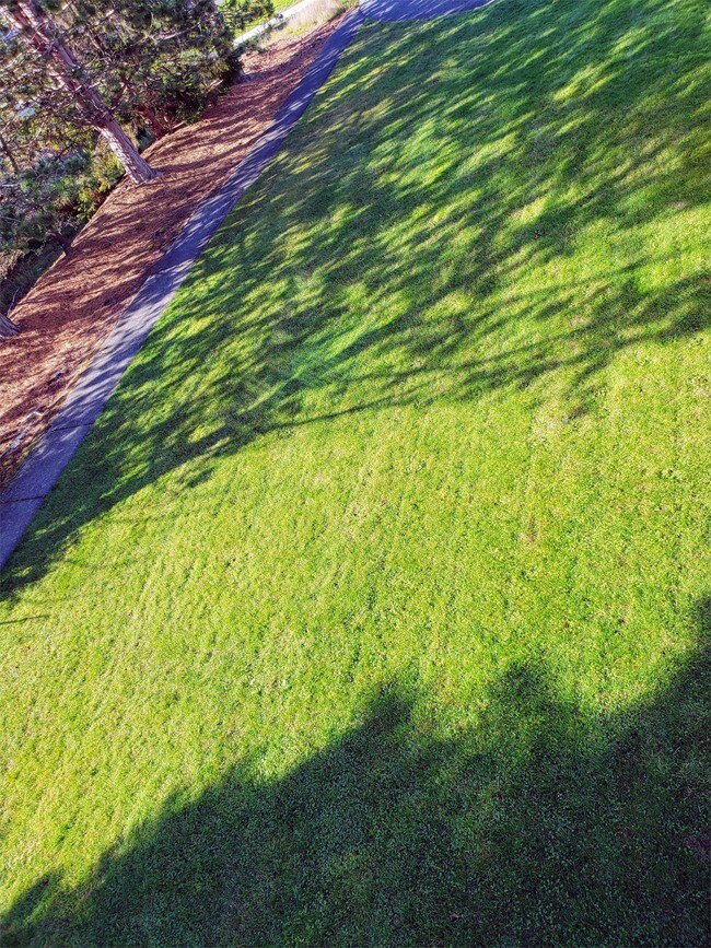 Building Photo - 1108 E Maryland St