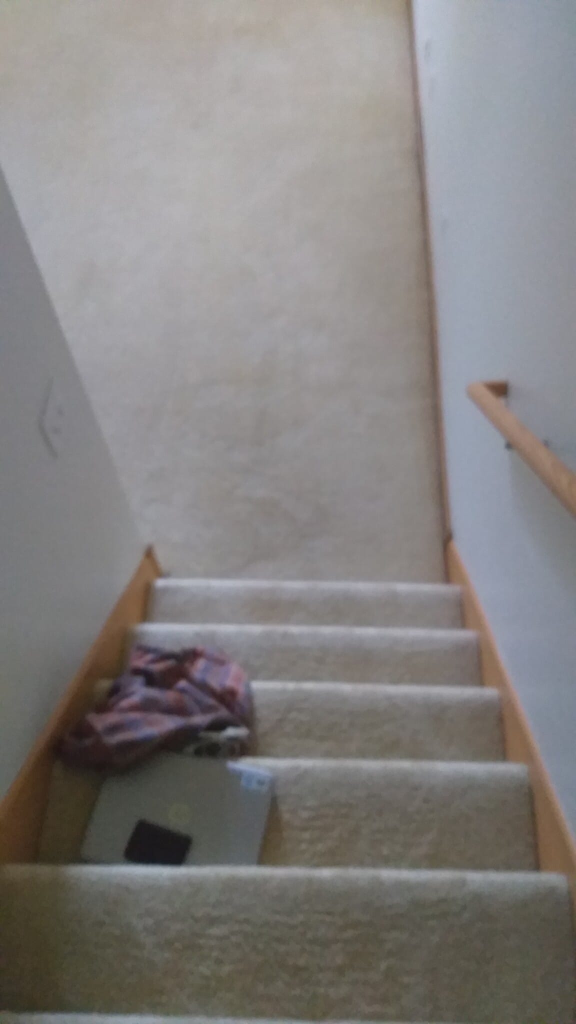 Building Photo - 2187 Cool Stream Cir