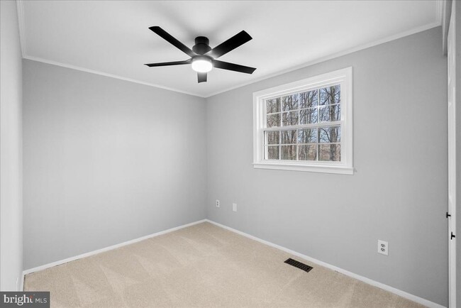 Building Photo - 8300 White Star Ct