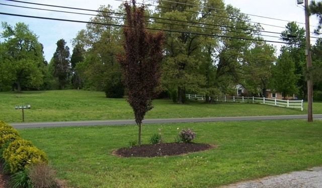 Building Photo - Lovelaceville Road