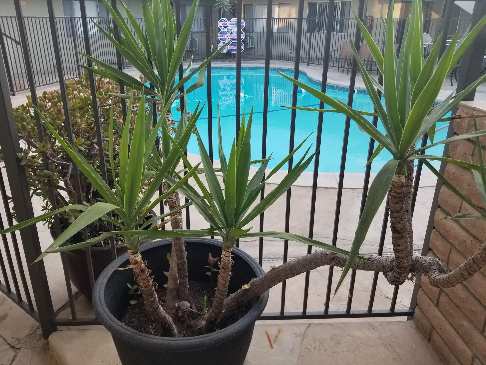 Building Photo - 917 E Madison Ave