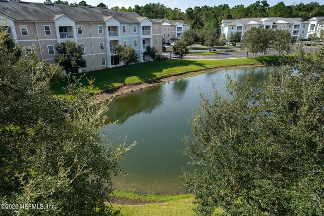 Building Photo - 8226 Green Parrot Rd