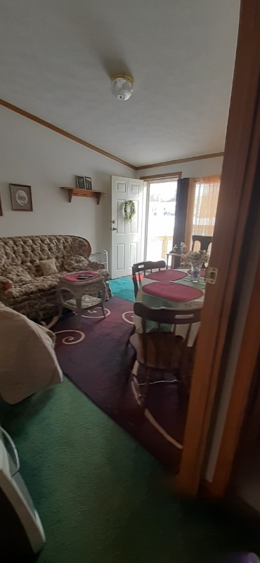 Building Photo - 236 Carrie Ln