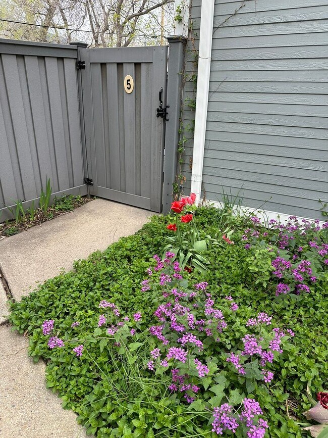 Building Photo - Super sunny & sweet 1 bedroom condo in the heart of Boulder