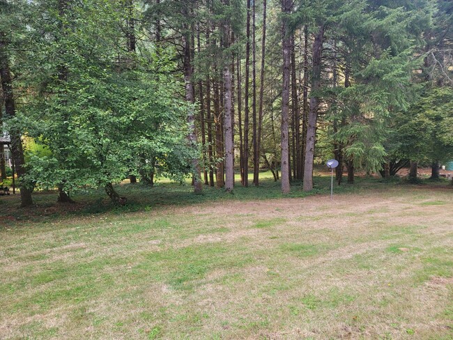 Building Photo - Newly remodeled home on Alsea River