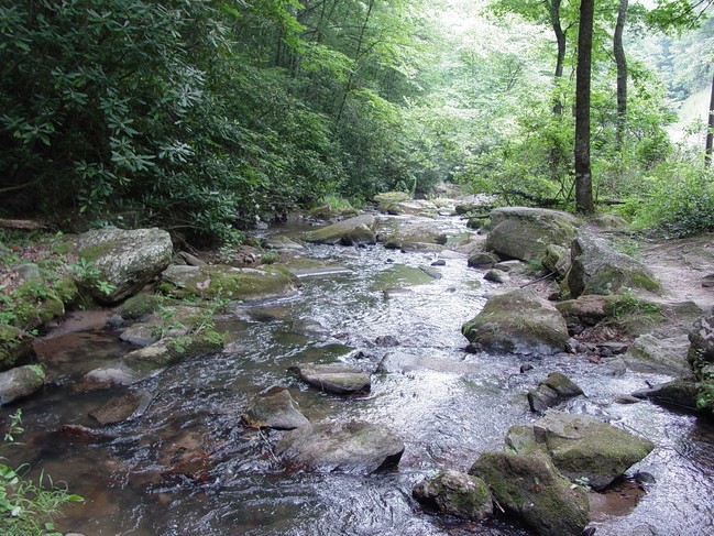 Creek runs through property - Fall Creek Cabins