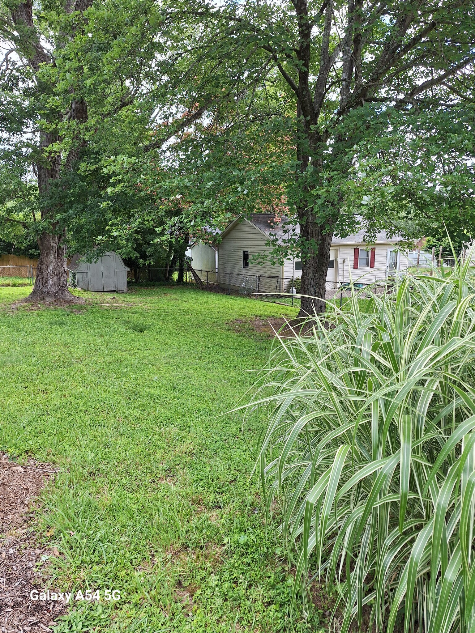 1/2 acre yard - 4920 Mandel Rd