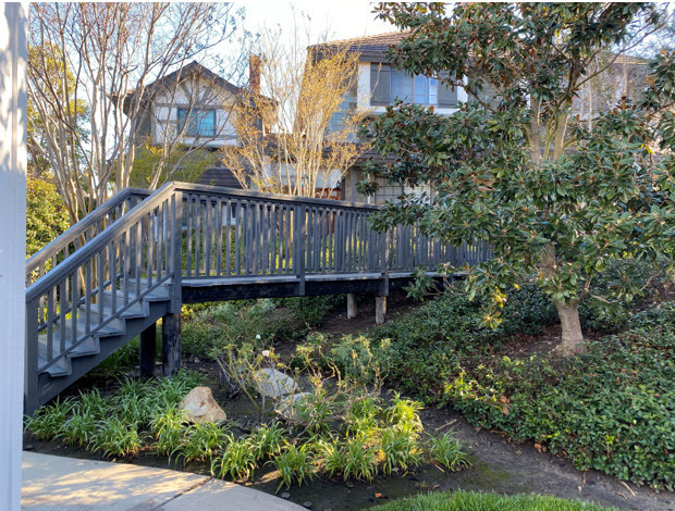 Bridge to Pool - 312 Paige Ln