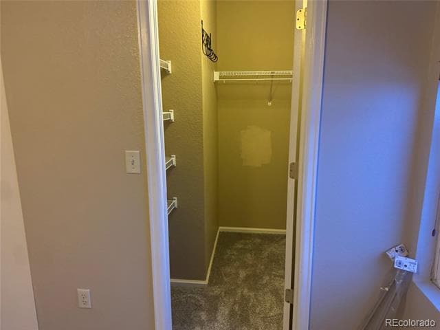 Building Photo - 299 Ponderosa Pl