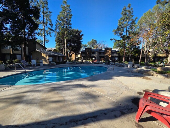 Building Photo - Charming 1 Bed, 1 Bath Lakewood Shores condo!