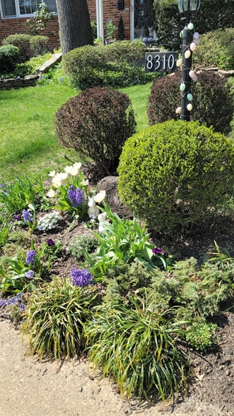 Building Photo - 8310 Chivalry Rd