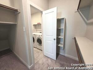 Building Photo - 7915 Needle Crk