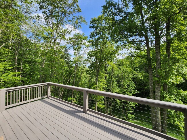 Building Photo - 2650 Hickory Nut Gap Rd