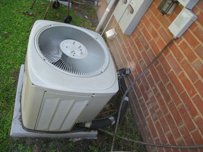 Building Photo - Cozy Condo