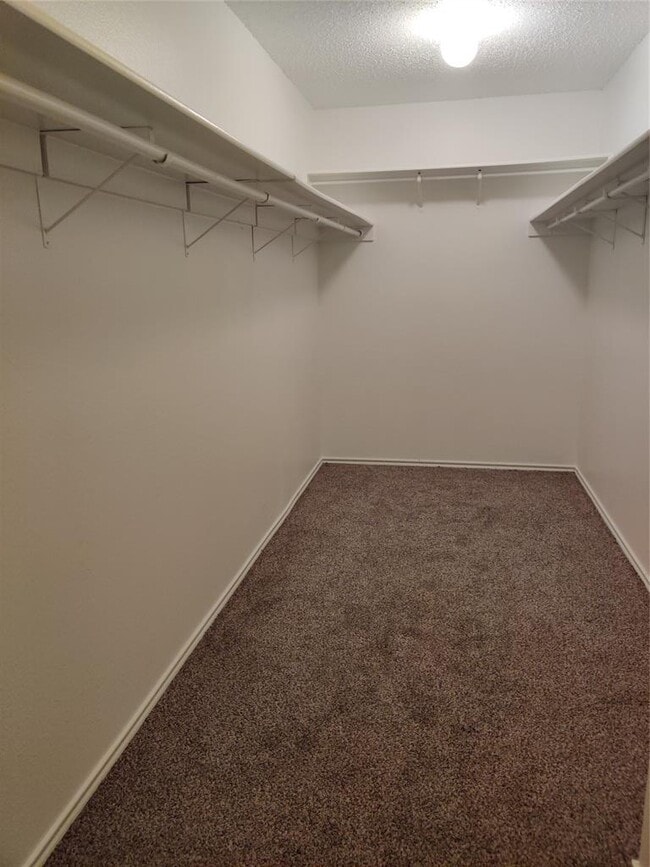 Building Photo - 909 Lodosa Dr