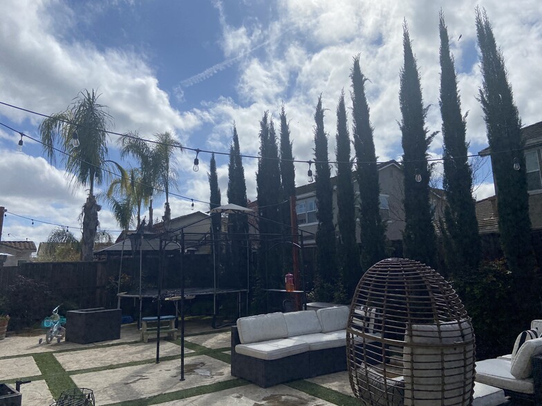 Backyard - 2070 Katnich Ln