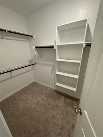 Building Photo - 3417 Kaufman Ct