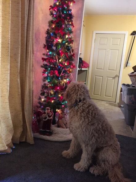 Building Photo - 13992 Irving Ln