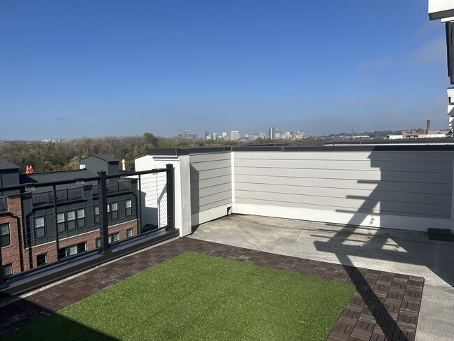 rooftop view - 5329 Old Main St