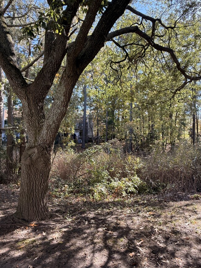 Building Photo - 2526 Cove Point Pl