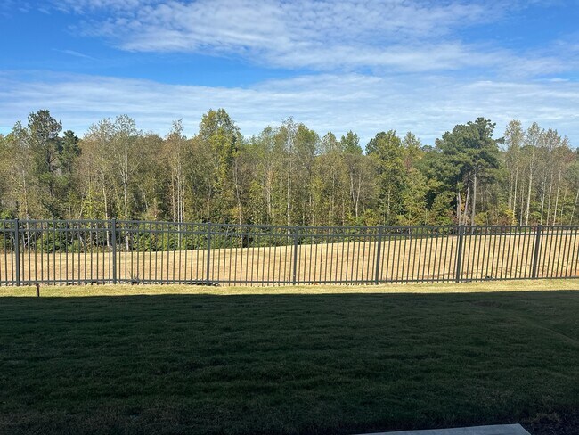 Building Photo - 2314 Sugar Cone Wy