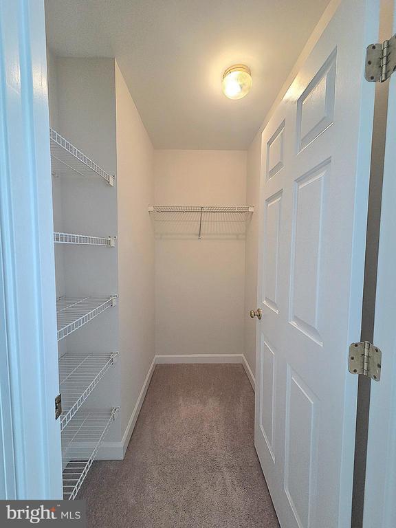 Building Photo - 8183 Skelton Cir