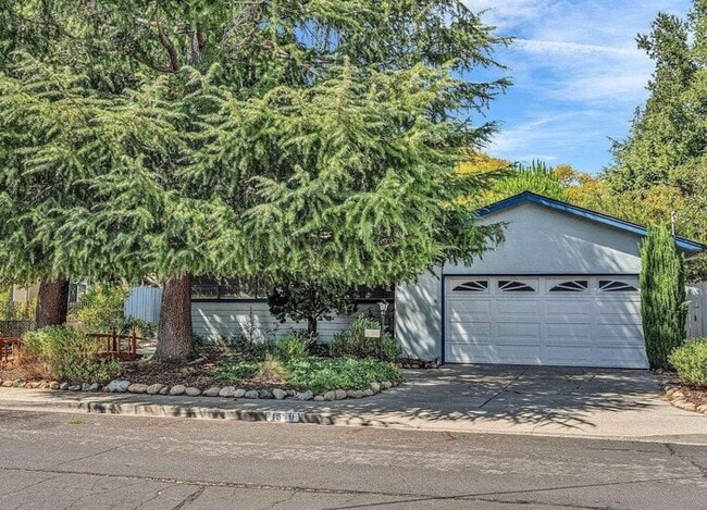 Building Photo - Sun-Filled Single-Story Home with Private Yard in Prime Walnut Creek Location