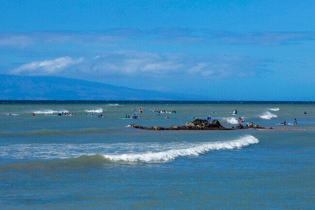Building Photo - Fully Furnished 2 Bed/ 2 Bath Hale Kanani ...