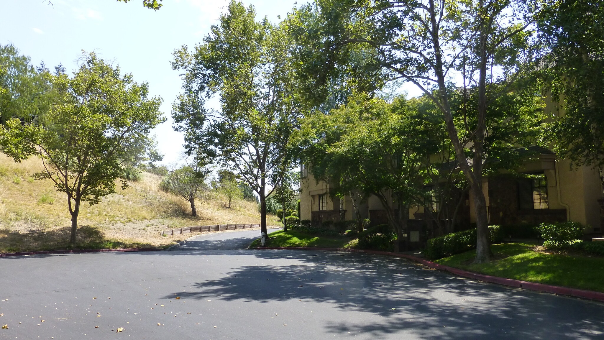 Building Photo - 206 Canyon Woods Way