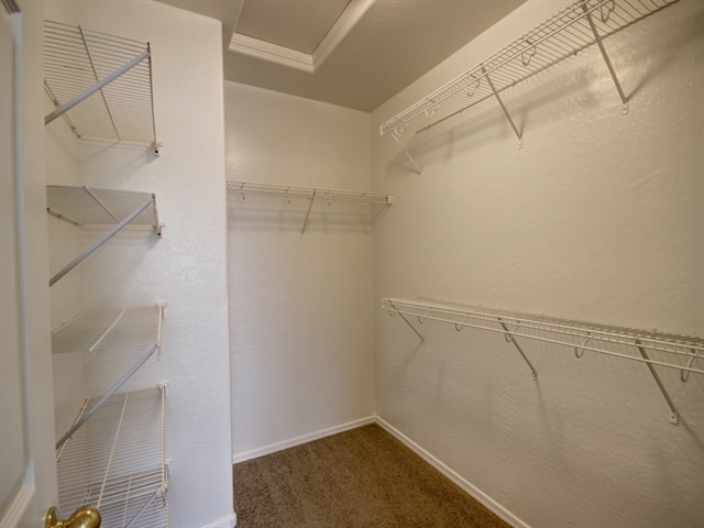 Building Photo - 3250 W Jessica Ln