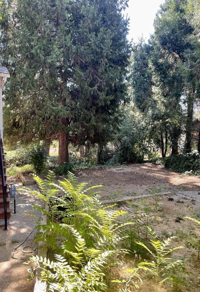 Building Photo - 266