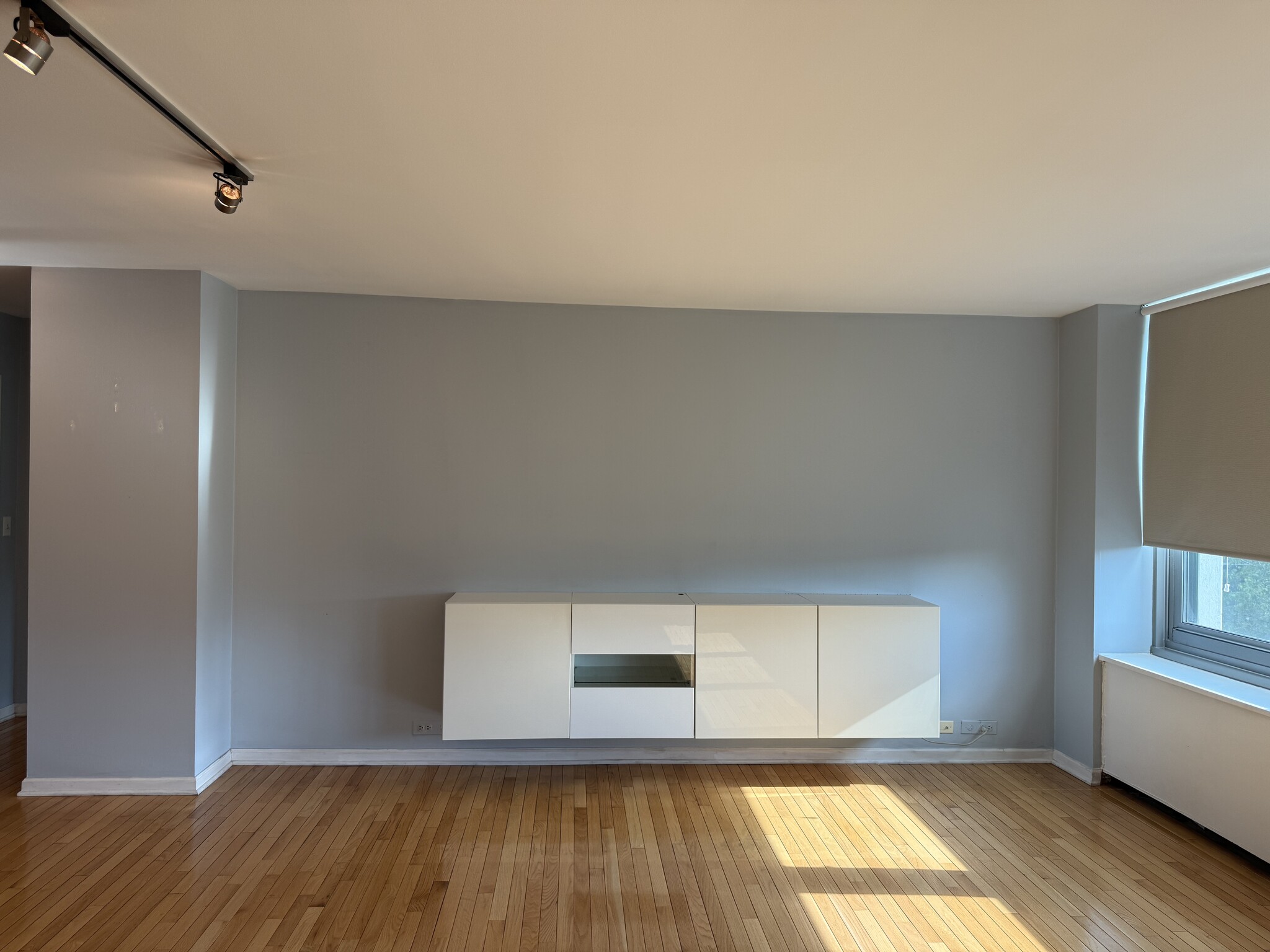 Living Room - 1255 N Sandburg Ter