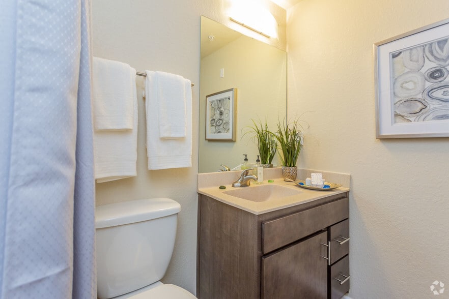 Interior Photo - Lemon Bay Apartments