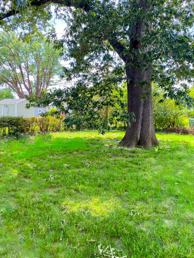 Building Photo - 108 E Roanoke St